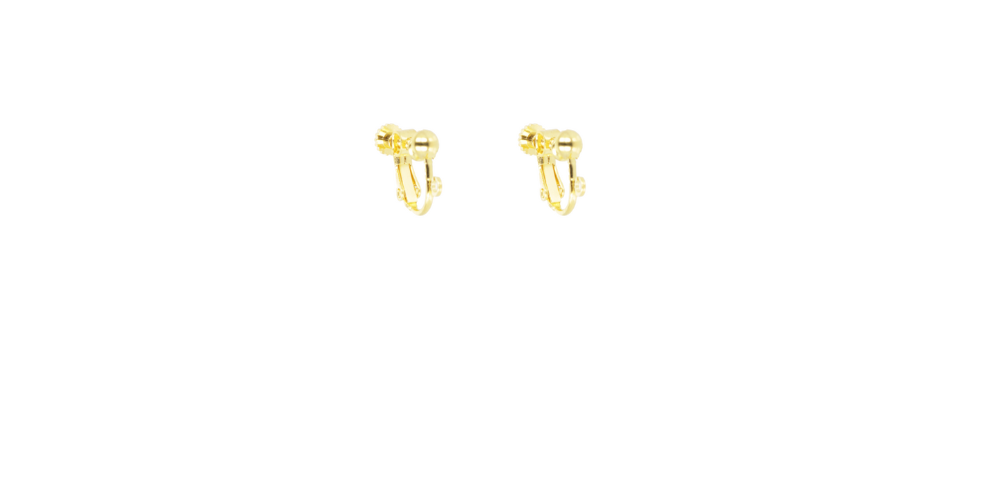 Clip On Earring (Swap)
